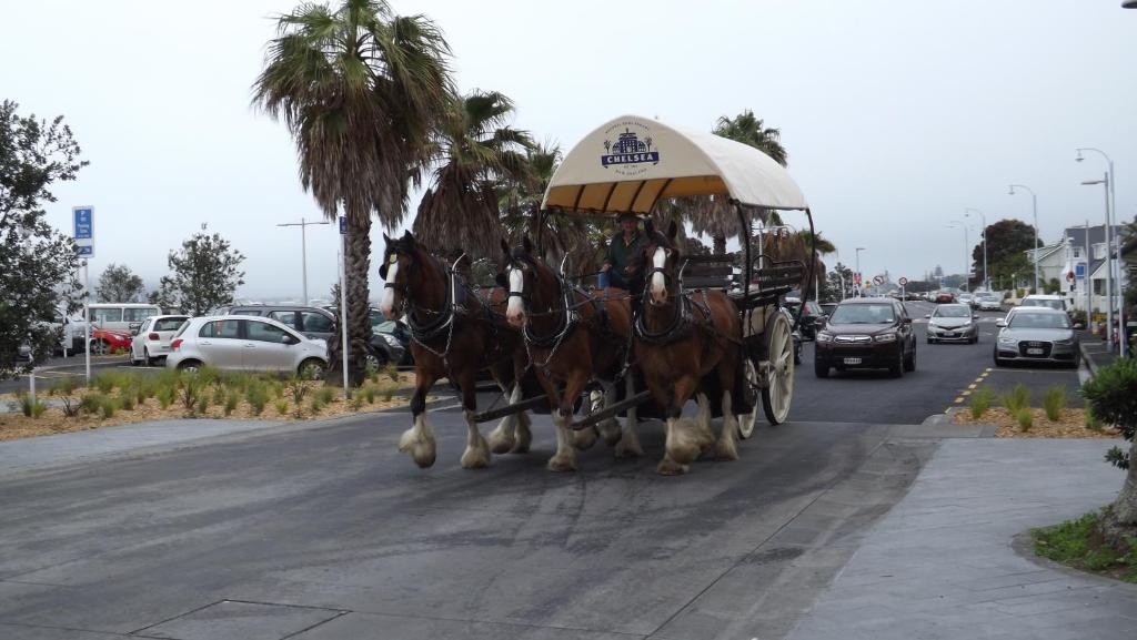 The Esplanade Hotel - Resim 23