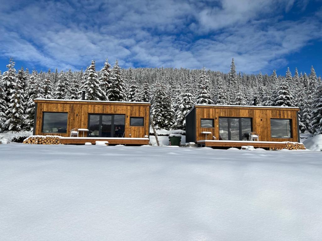 domek na śniegu z drzewami pokrytymi śniegiem w obiekcie Heaven`s cabins w mieście Tău Bistra