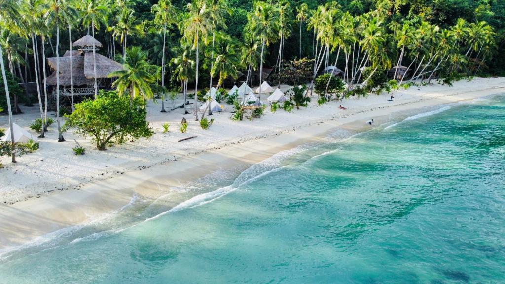 エルニドにあるDryft Darocotan Islandのヤシの木が植わる海岸の空中風景