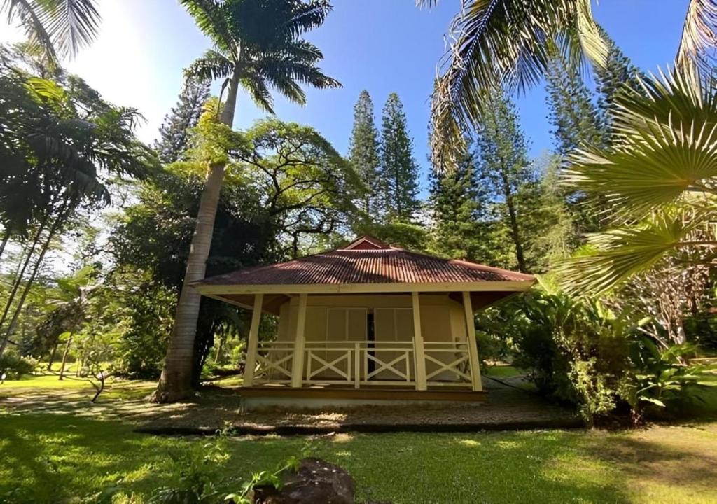 uma pequena cabana num jardim com palmeiras em EVASION Bungalow d'Antan Spa em Sarraméa
