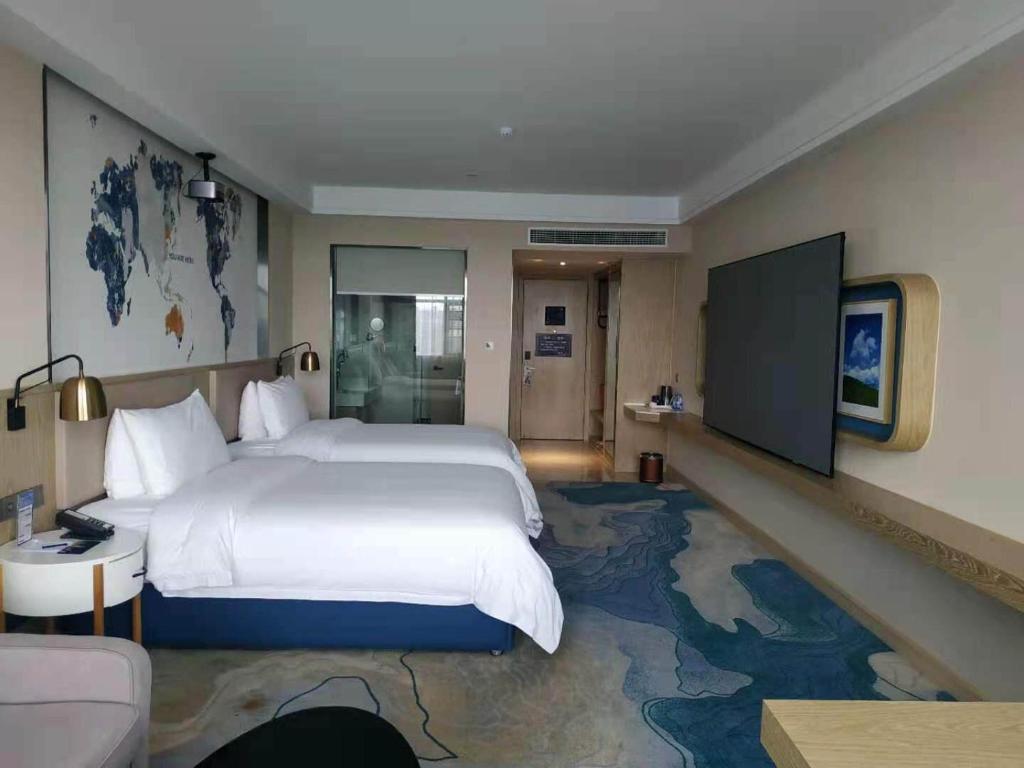 Kyriad Marvelous Hotel Hengyang Changning - Tweelingzaal Met Audio