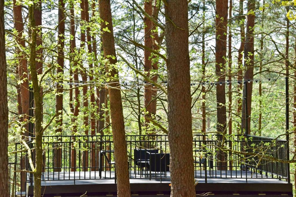 Premium Forest Bungalow with HOT TUB - Superior Villa