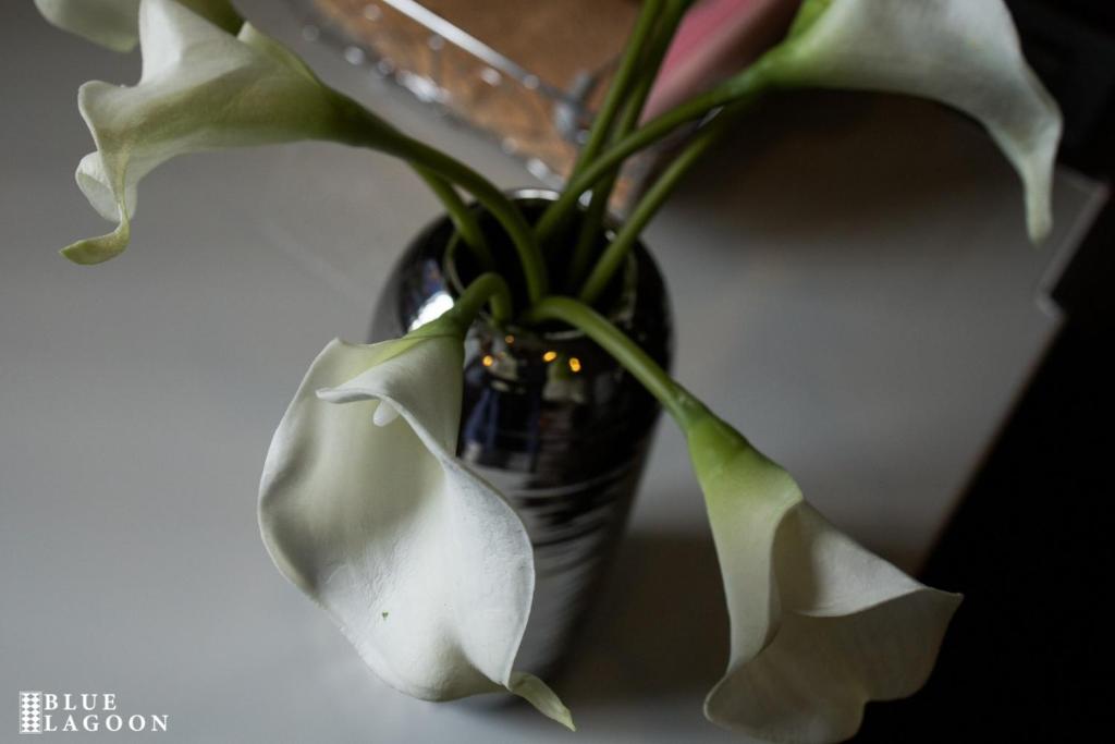 Blue Lagoon Hotel - Resim 34