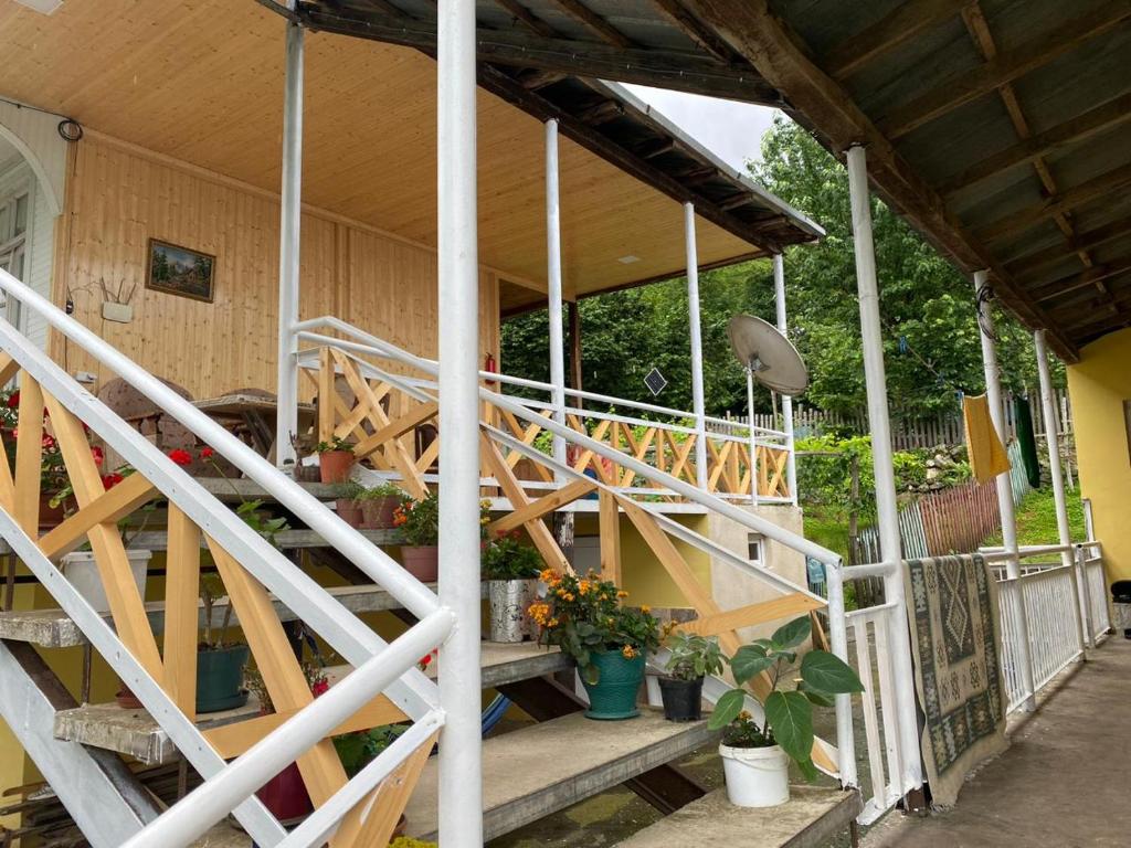 Balkón nebo terasa v ubytování Guest House Balda
