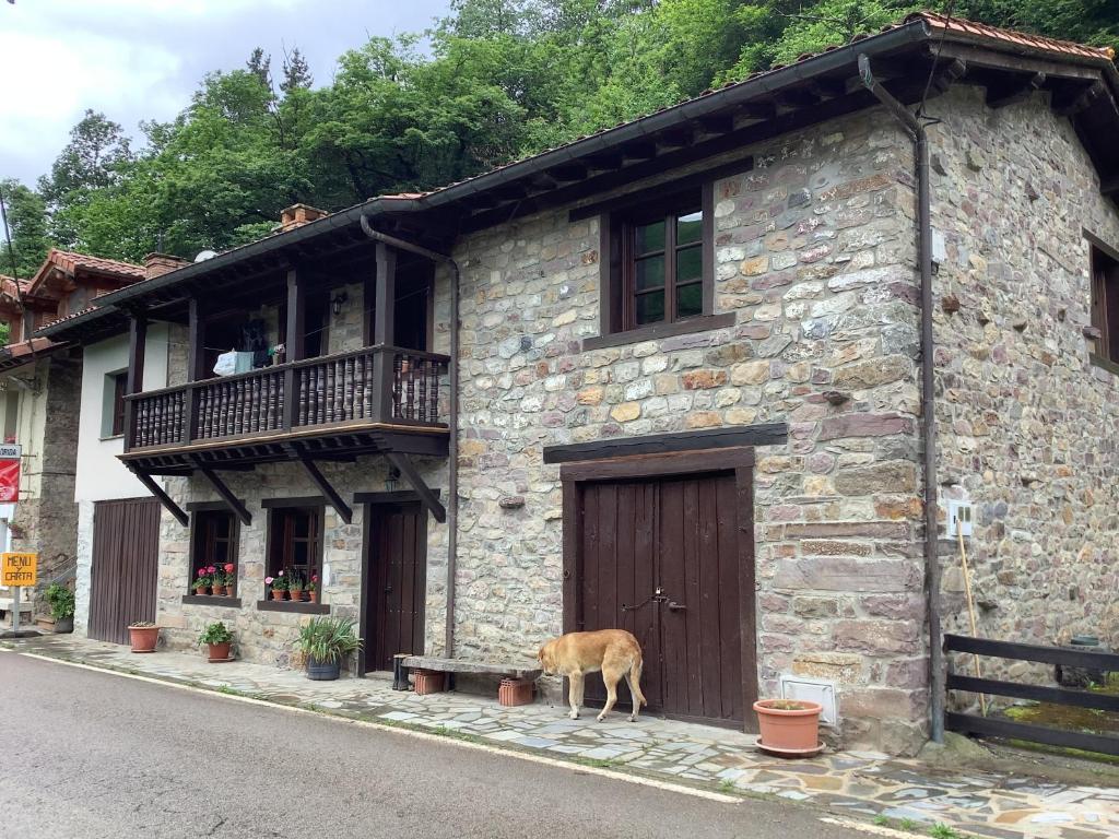 um cão parado em frente a um edifício de pedra em The living mountain 