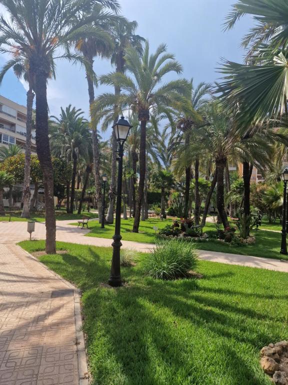 una luz de la calle en un parque con palmeras en First line sea apartments, en Torrevieja