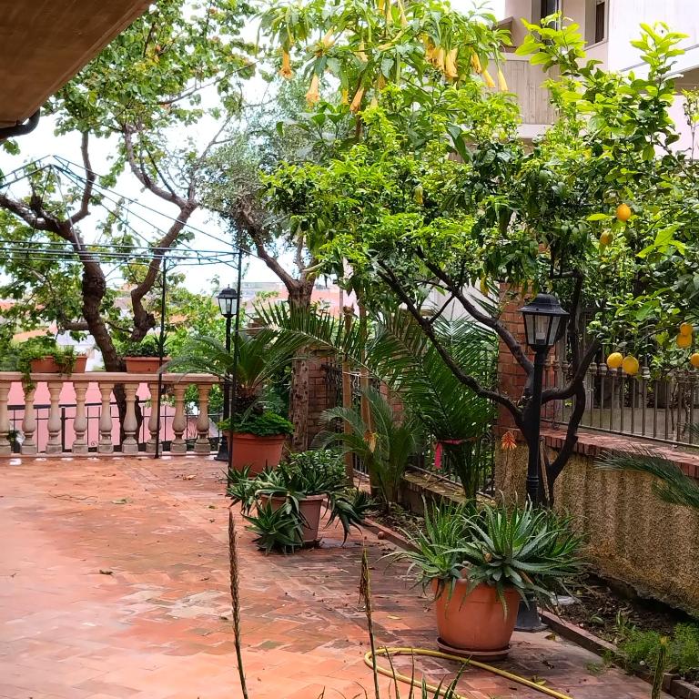 a courtyard with trees and potted plants and a fence at B&B VILLA RITA in Silvi Marina