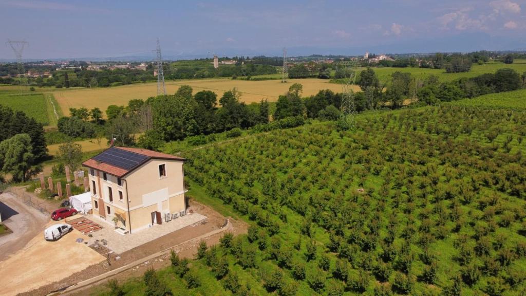 una vista aérea de una pequeña casa en un viñedo en Corte Bottura agriturismo, en Castelnuovo del Garda