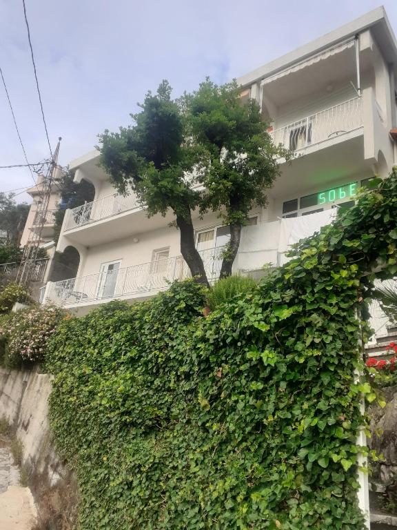 ストモレにあるOLGA apartmaniの前に木がある建物