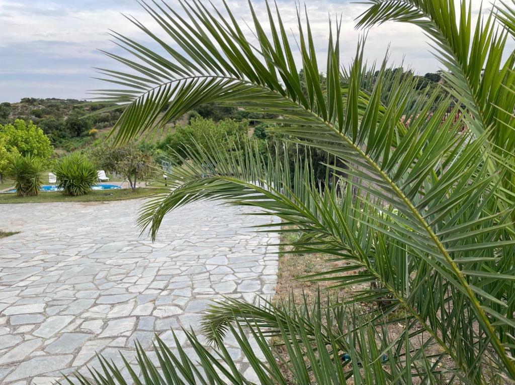 Zahrada ubytování Astri Villa