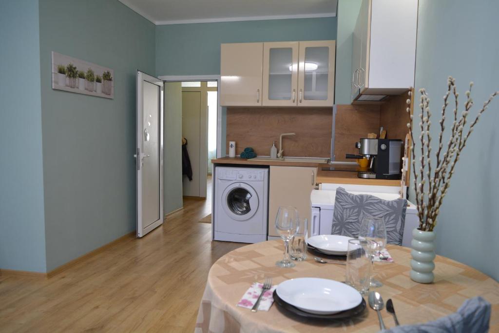 Kuchyň nebo kuchyňský kout v ubytování City Center Apartment