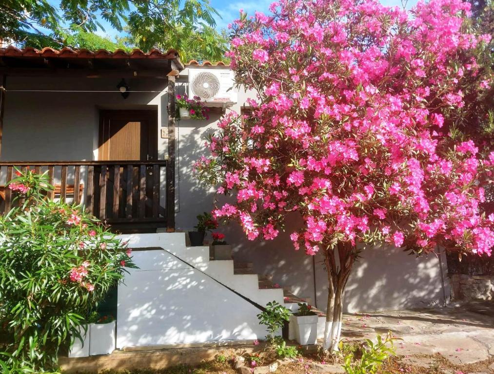 a tree with pink flowers in front of a house at ANASTASIA in Makri