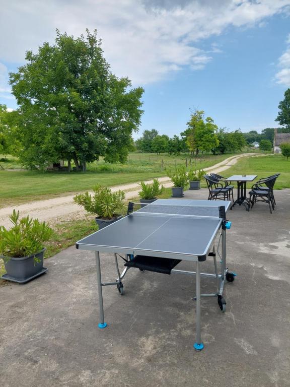 Stolný tenis v ubytovaní Hédervári Lovas Vendégház alebo v jeho okolí