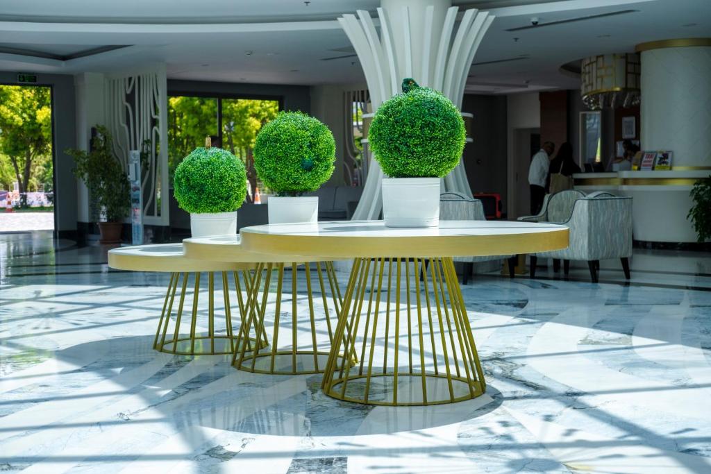 Fotografie z fotogalerie ubytování Calido Maris Hotel Ultra All Inclusive v destinaci Kızılot