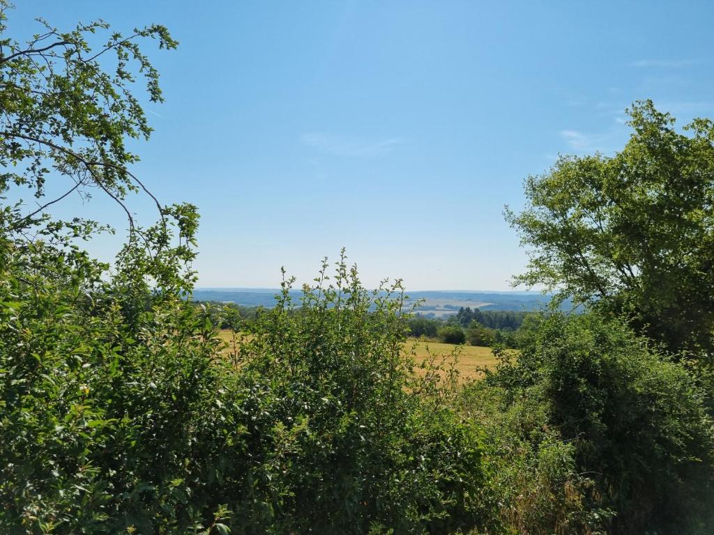 Příroda nedaleko bed and breakfast