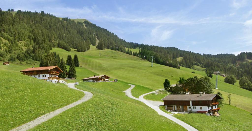 una colina verde con casas y un camino sinuoso en Salvenalm en Hopfgarten im Brixental