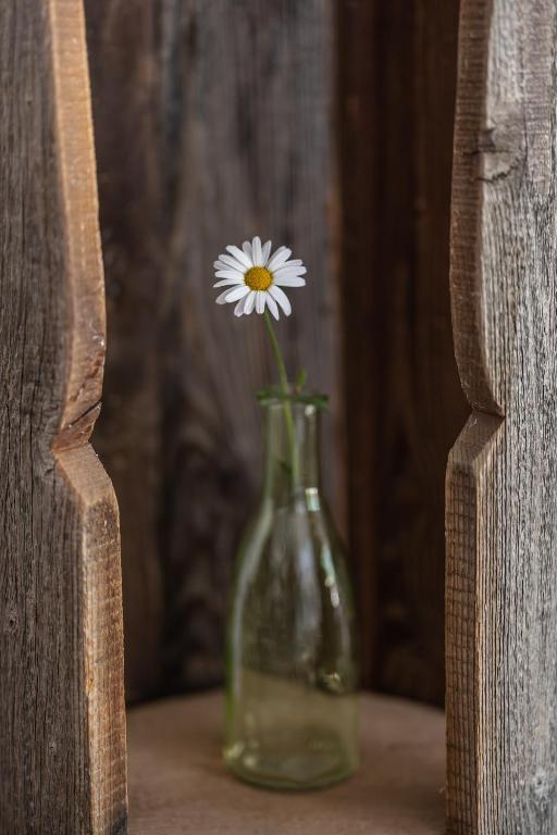 Fotografie z fotogalerie ubytování Garni Zimmerhofer v destinaci Campo Tures