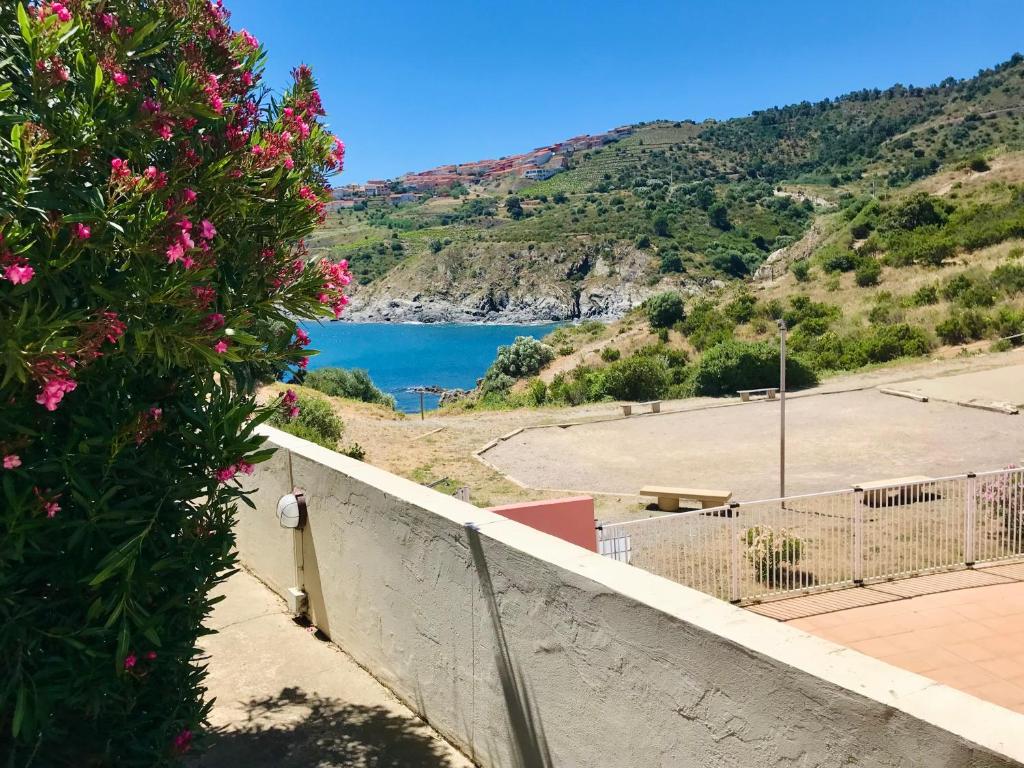 a view of a body of water from a hill at Jolie vue mer T2 tout confort in Cerbère