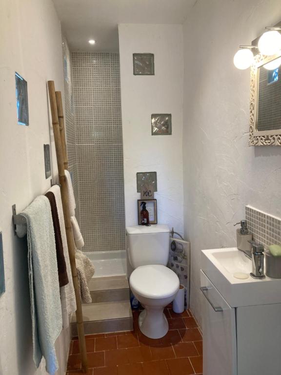 a bathroom with a toilet and a shower and a sink at Bblodges Loches Beauval in Saint-Hippolyte