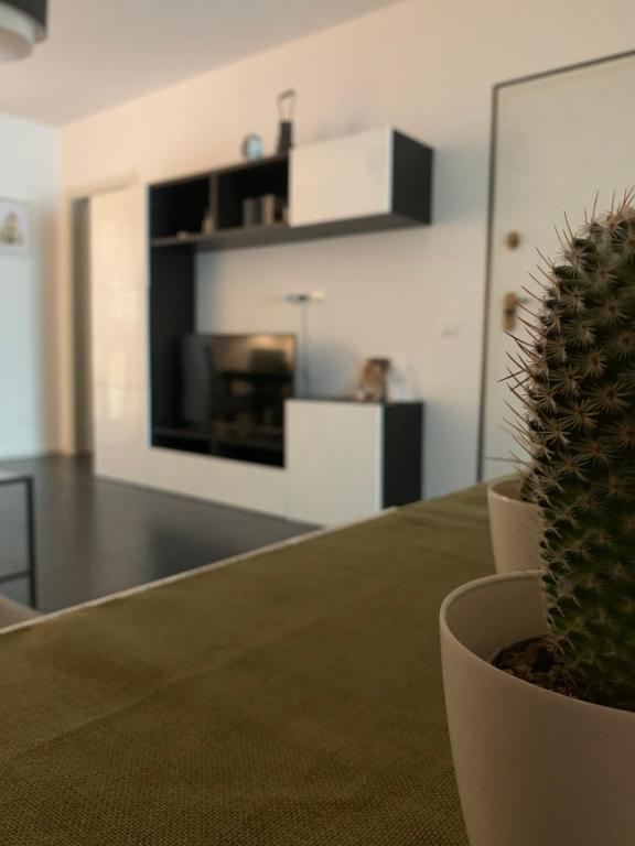 A kitchen or kitchenette at Zanclea