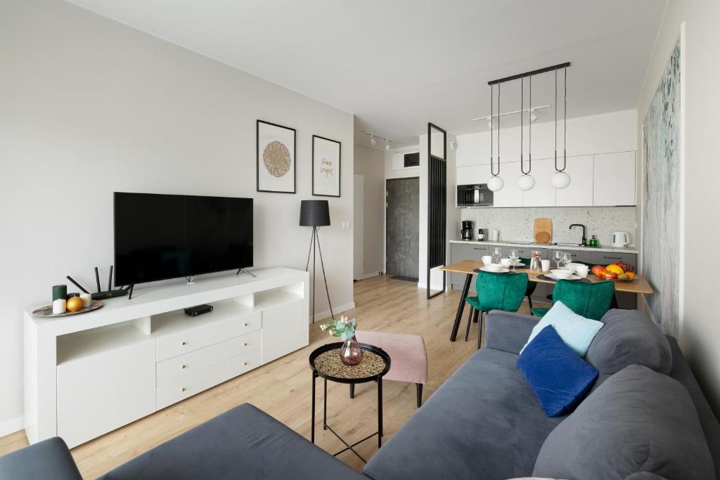 ein Wohnzimmer mit einem Sofa und einem TV in der Unterkunft Apartament Radosny in Kudowa-Zdrój