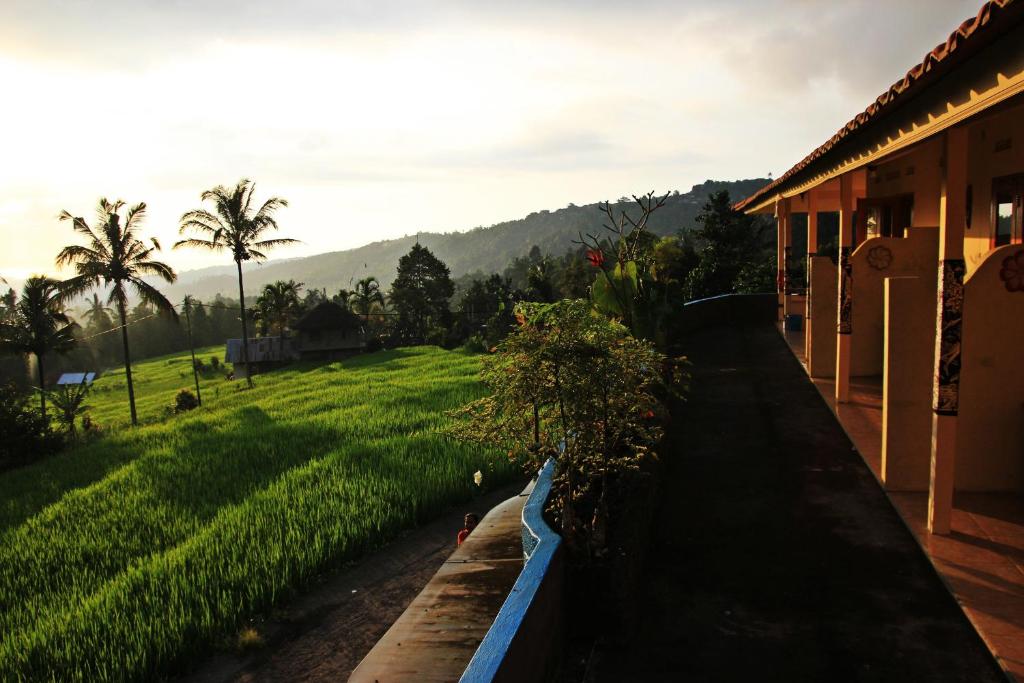 a house with plants on the side of a field at Gangga Homestay in Munduk