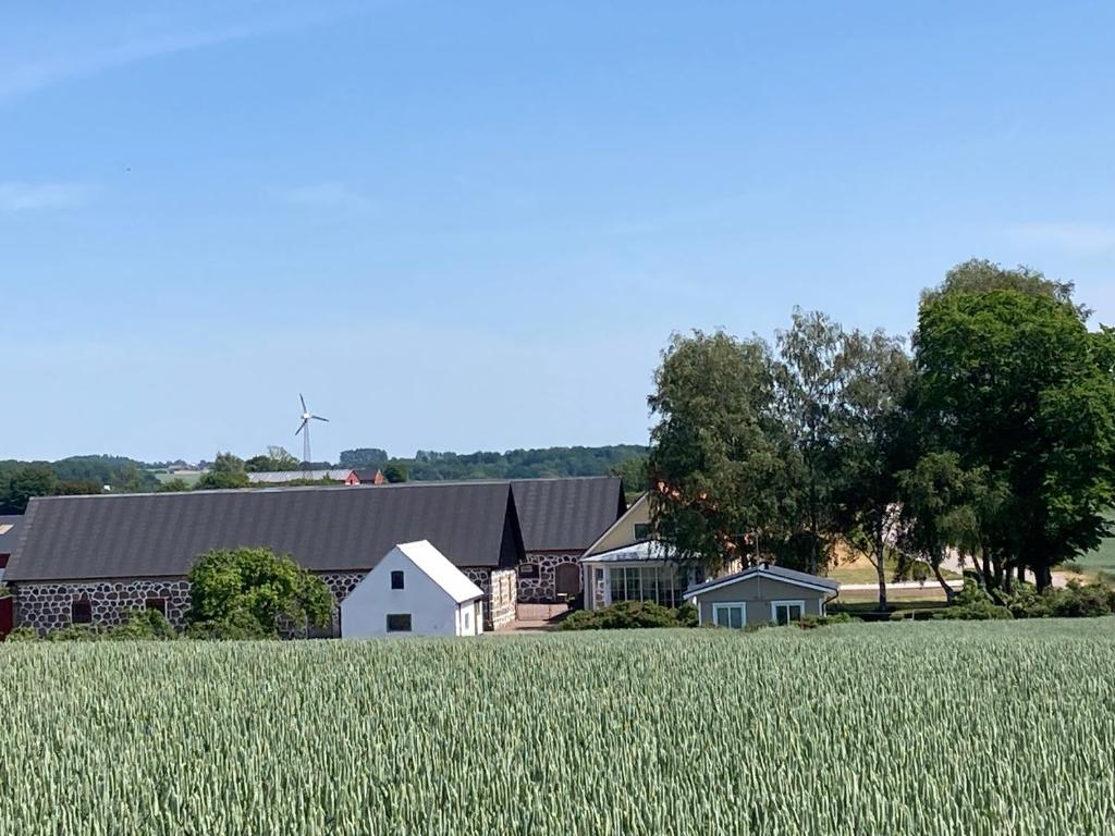 una granja con un campo de césped verde en Slimmingegården en Skurup
