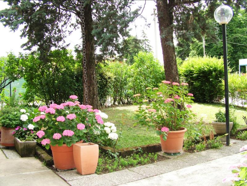 Zahrada ubytování Hotel Tuscolano