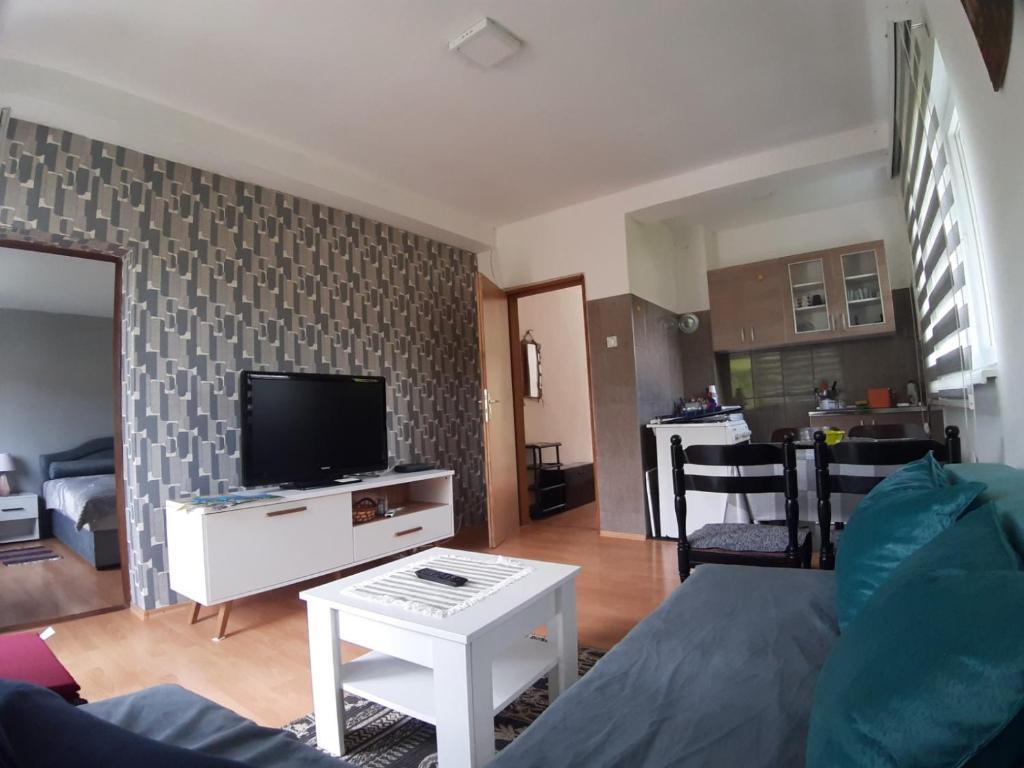 TV a/nebo společenská místnost v ubytování Apartmani Konstantin