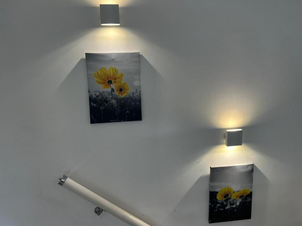 two paintings of a yellow flower on a wall at SW - Four - 3 in London