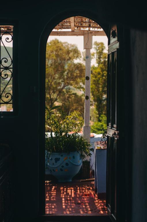 Zahrada ubytování Hôtel Barcelona