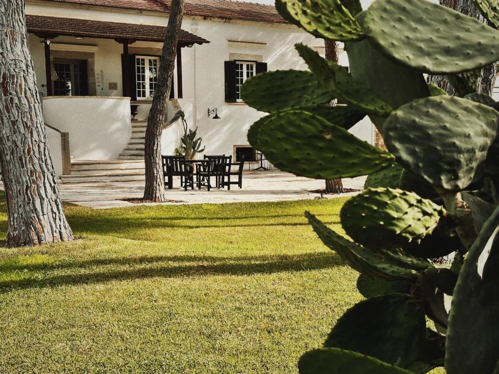 - une vue sur une cour avec une maison et un cactus dans l'établissement Quomorari, à Barletta