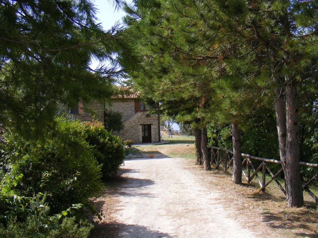 un chemin de terre avec des arbres devant un bâtiment dans l'établissement Guinzano, à Gubbio