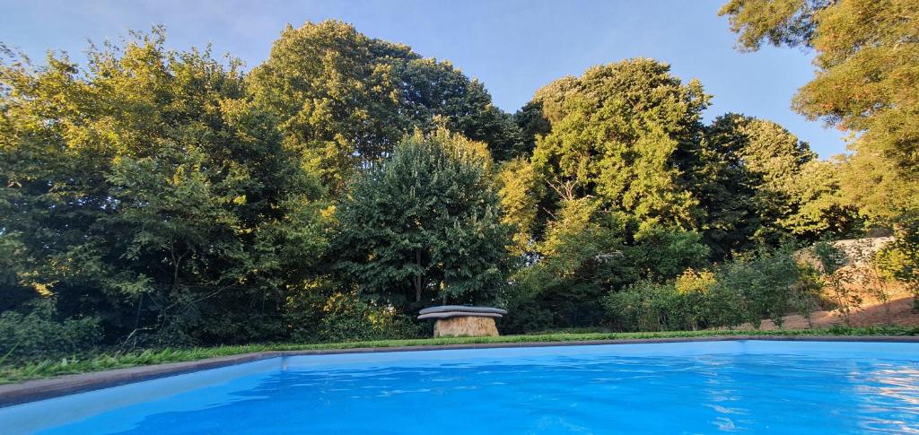 una piscina con árboles en el fondo en Casa Blé Marco de Canaveses, en Marco de Canaveses