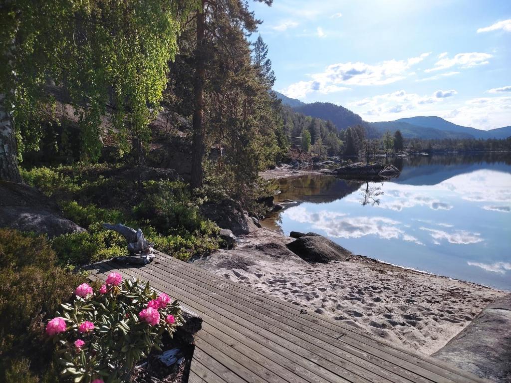a wooden pathway leading to a lake with pink flowers at Hytte ved Vråvatnet i Vrådal in Sinnes