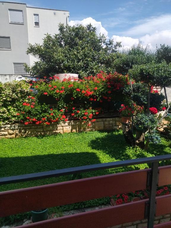 Zahrada ubytování Zelena oaza Apartment