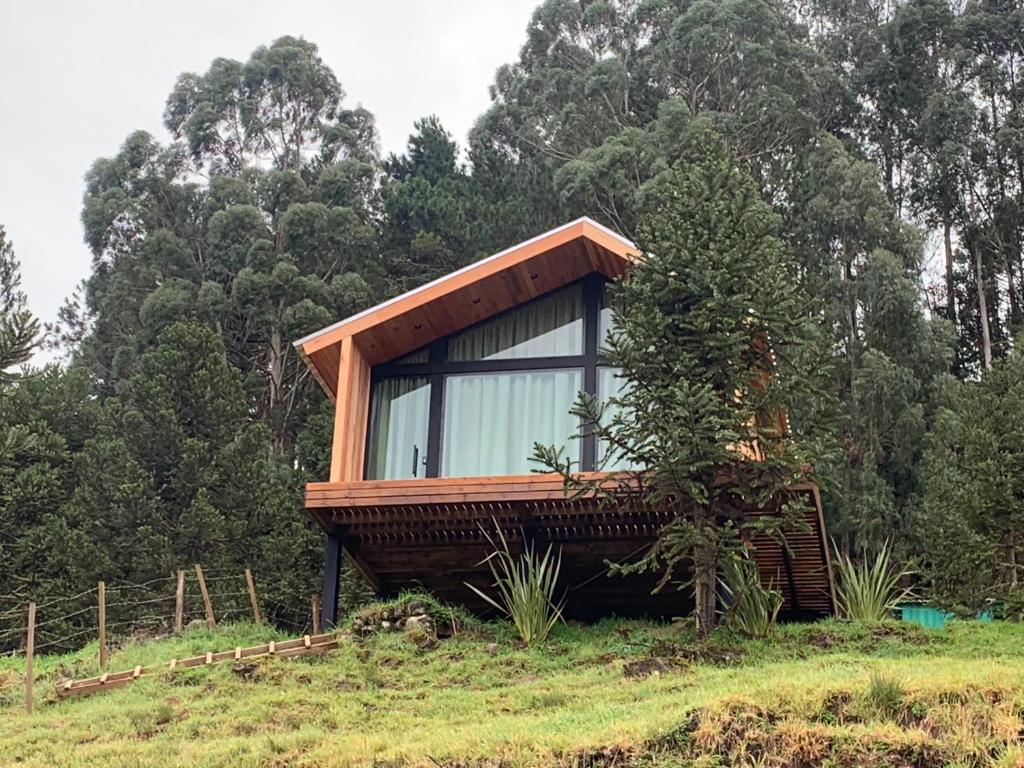 una casa en una colina con un árbol en Refúgio de Altitude - Centro en Urupema