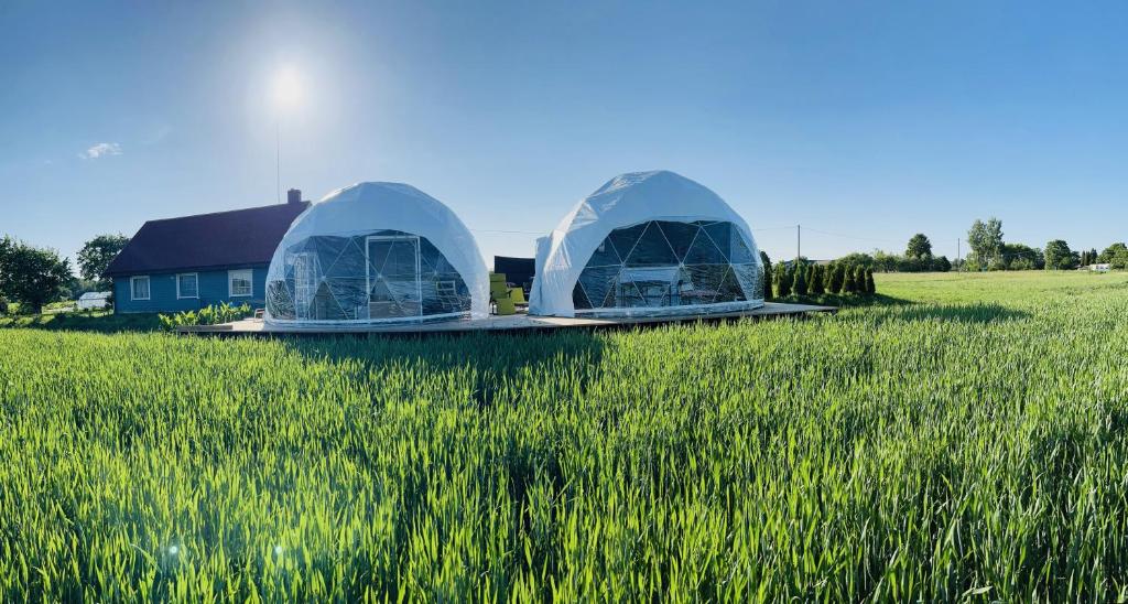 two domes in a field next to a house at LoveLand Farm Kupolai 