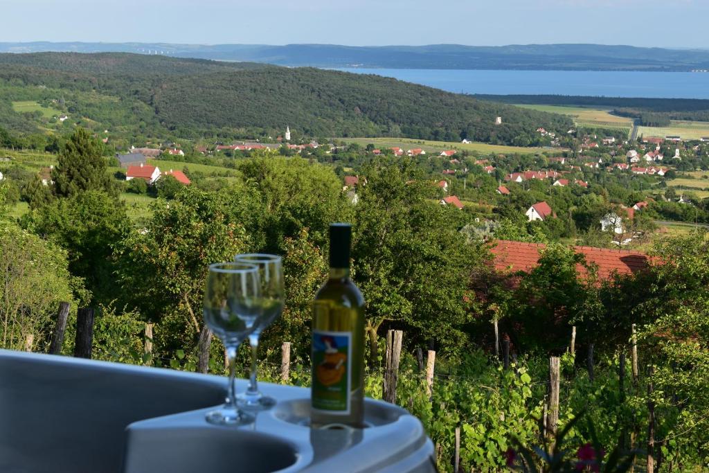 eine Flasche Wein und ein Glas auf dem Tisch in der Unterkunft Panoráma Borbirtok in Mencshely