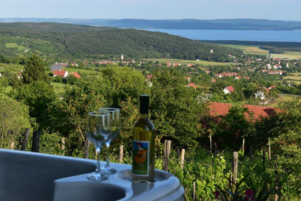 Panoráma Borbirtok 8271 Mencshely, Halom szőlőhegy 2160 hrsz. kép - 1