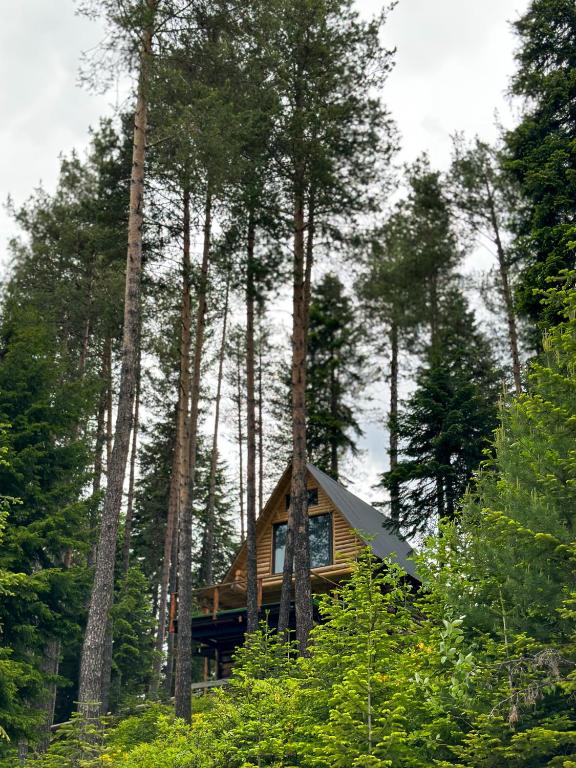Příroda nedaleko hotelu