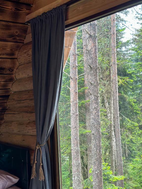 Příroda nedaleko hotelu