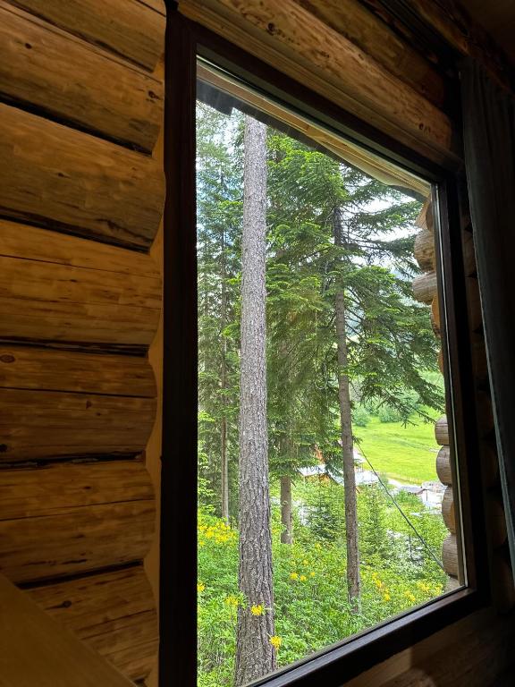Zahrada ubytování Hut In Hatsvali