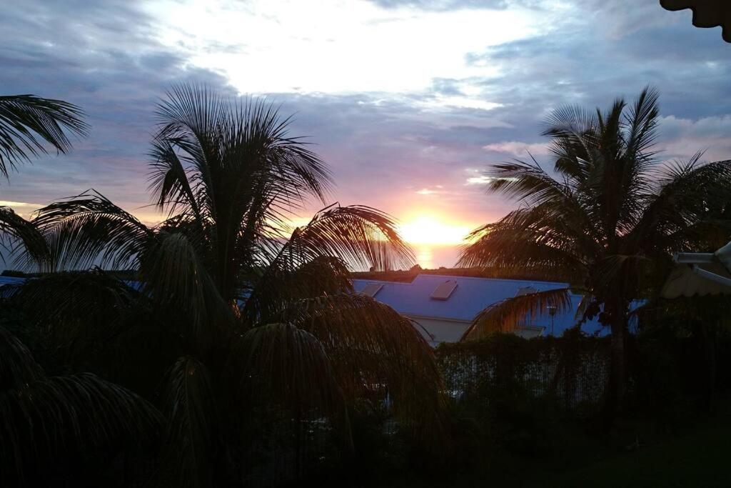 puesta de sol con palmeras frente a un edificio en Appartement cosy 3 chambres vue mer et Soufrière, en Basse-Terre