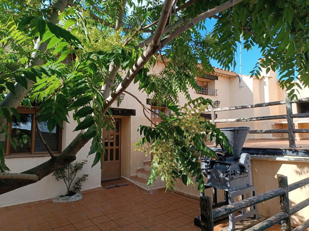 a patio with a tree and a chair in front of a building at Casa Rural El Acebo in Almodóvar del Pinar