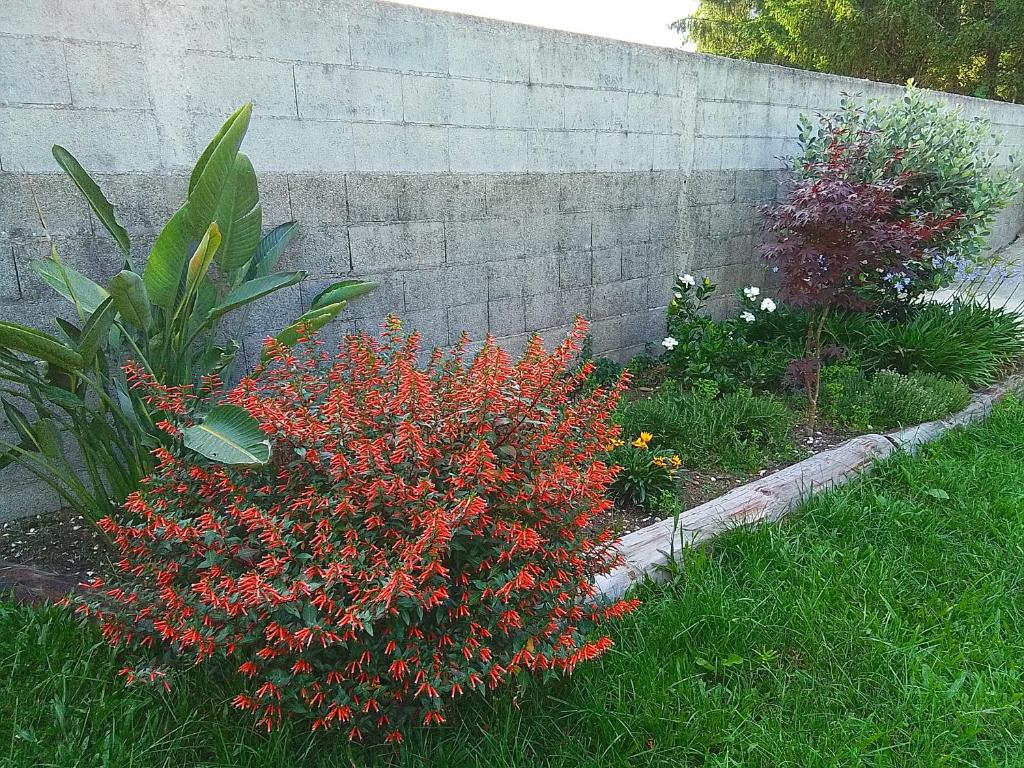 Hostel & Rooms Casa Maia - 9