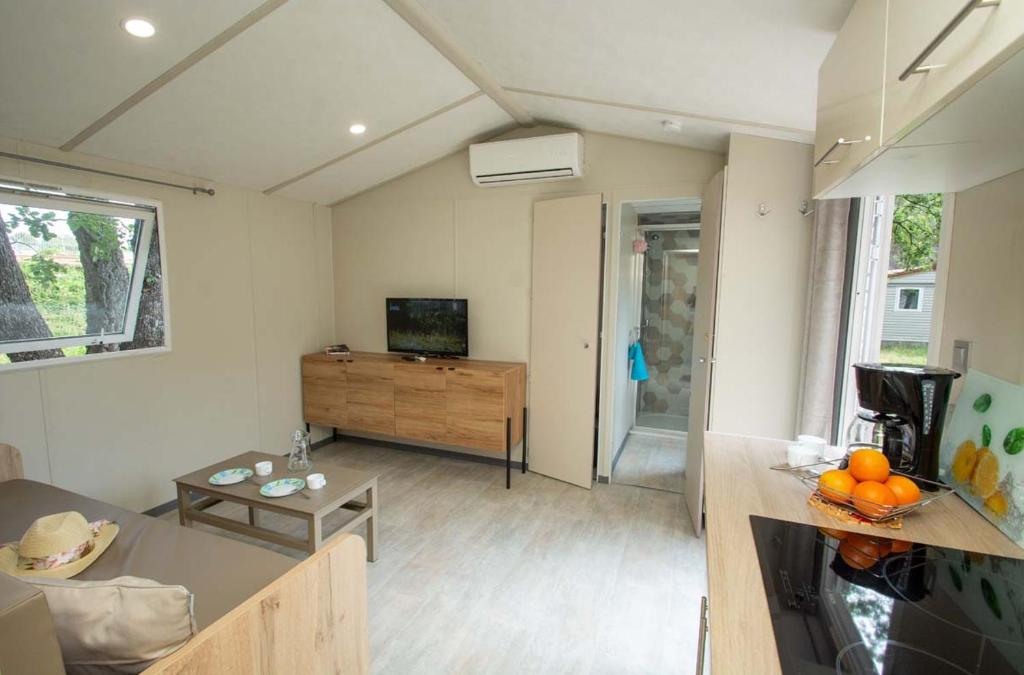 TV a/nebo společenská místnost v ubytování Parc Saint James Oasis Village
