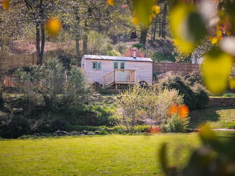 a small white shed in a field of grass at Dipper's Hut - Luxury Shepherds Hut with Hot Tub in Blakeney