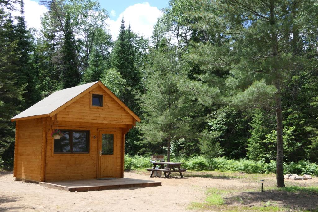 una piccola cabina in legno con tavolo da picnic in una foresta di Moose Run #4 a Maynooth