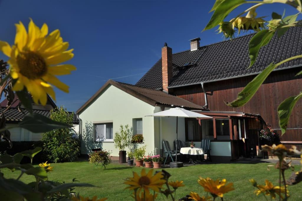a house with a yard with a sunflower at Ferienwohnung Nachtigall in Burg